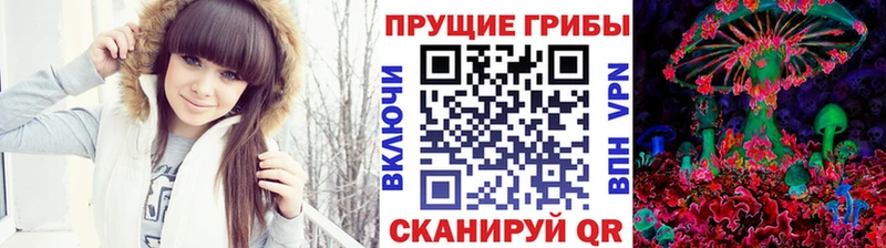 закладки Нязепетровск kraken Псилоцибиновые грибы Cubensis